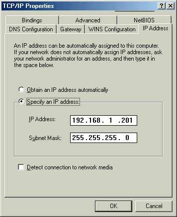 How to assign ip address