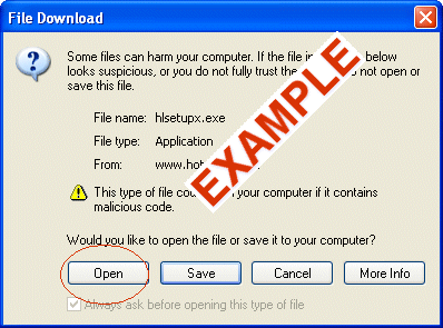 File Download window